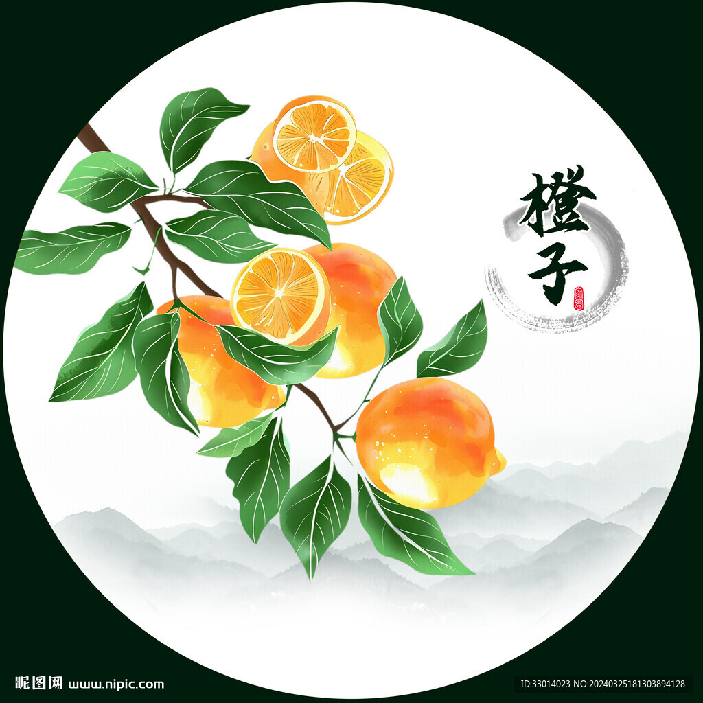  手绘橙子插画