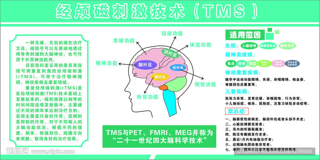 TMS  展板