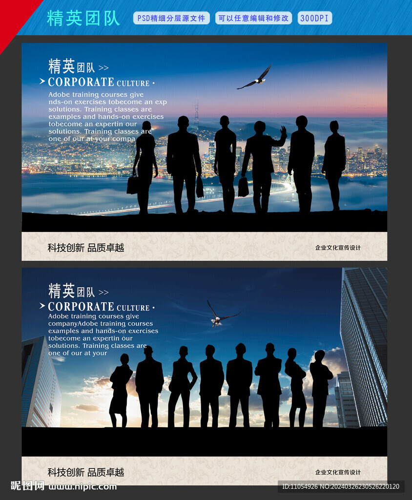 精英团队