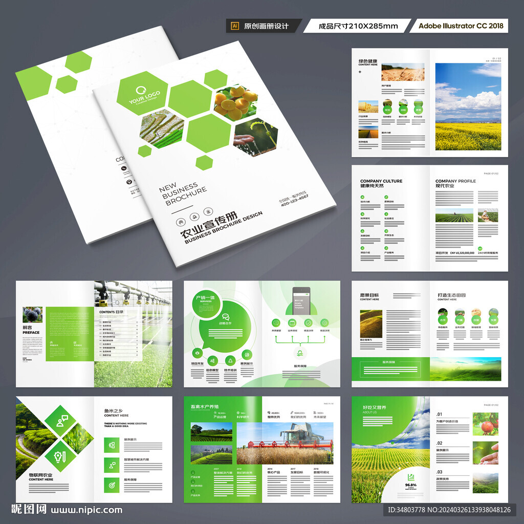 农产品宣传册