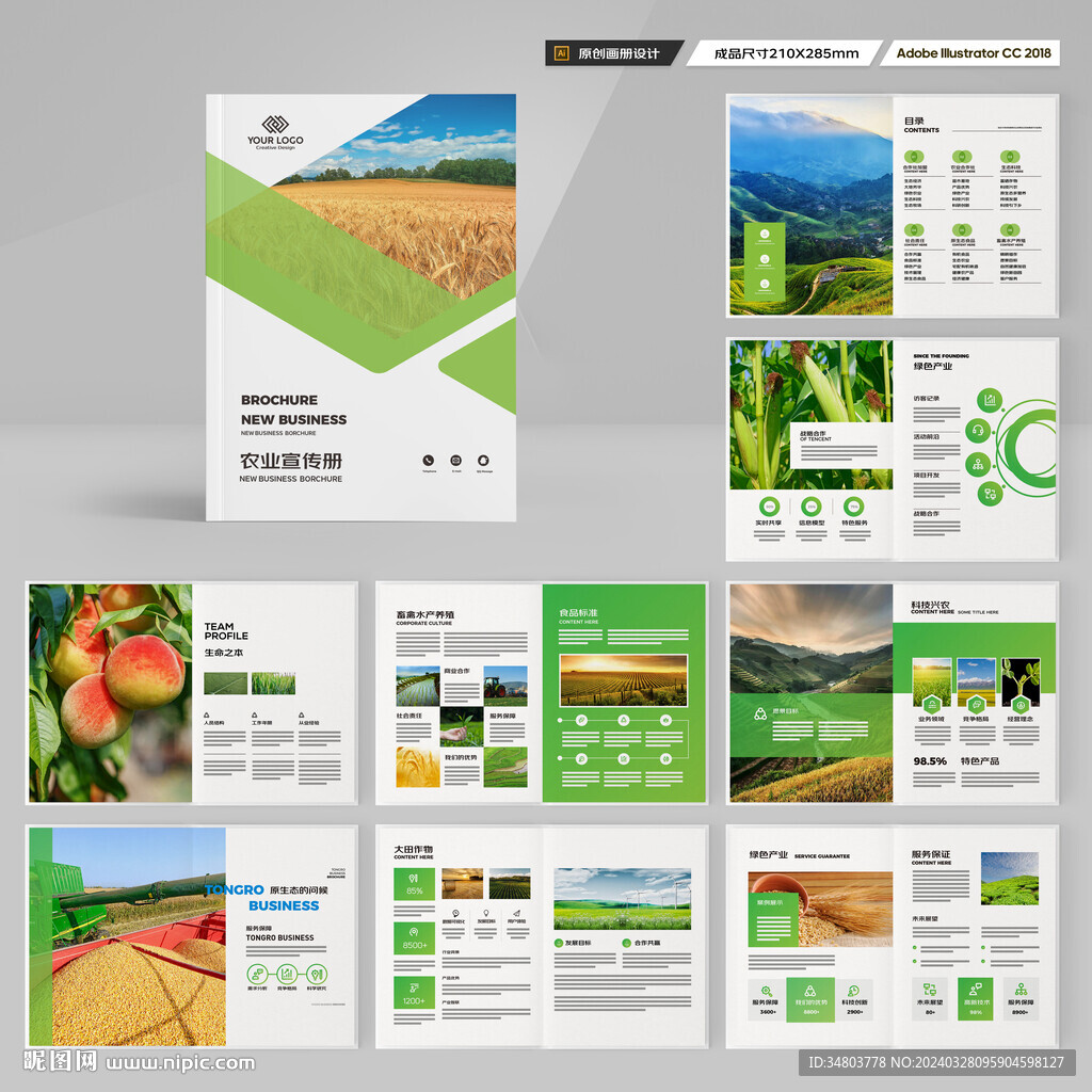 农产品宣传册
