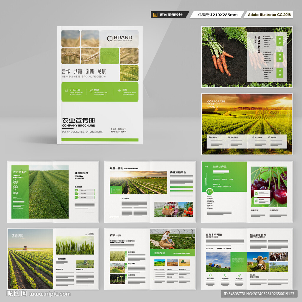 农业合作社画册