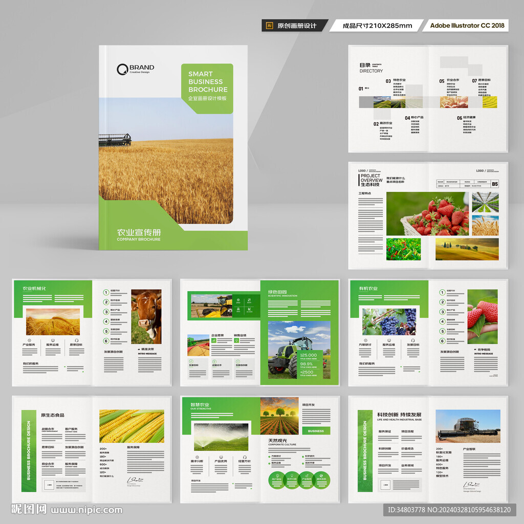 农产品宣传册