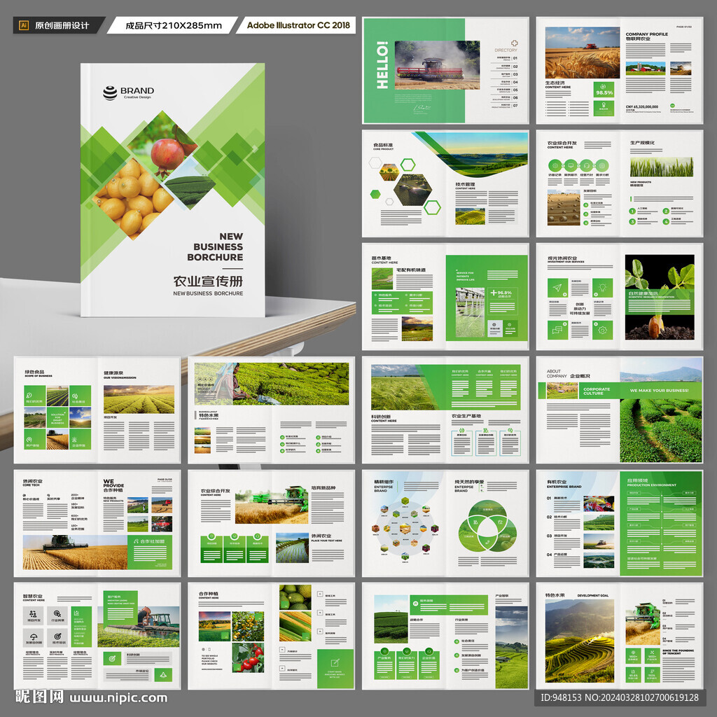 农产品宣传册