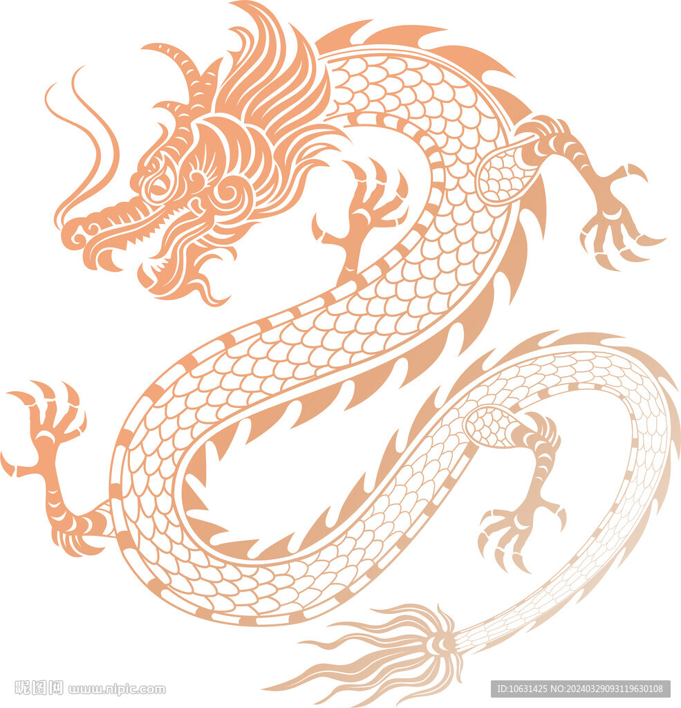 龙