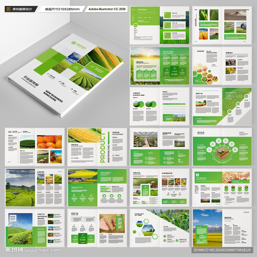农产品宣传册