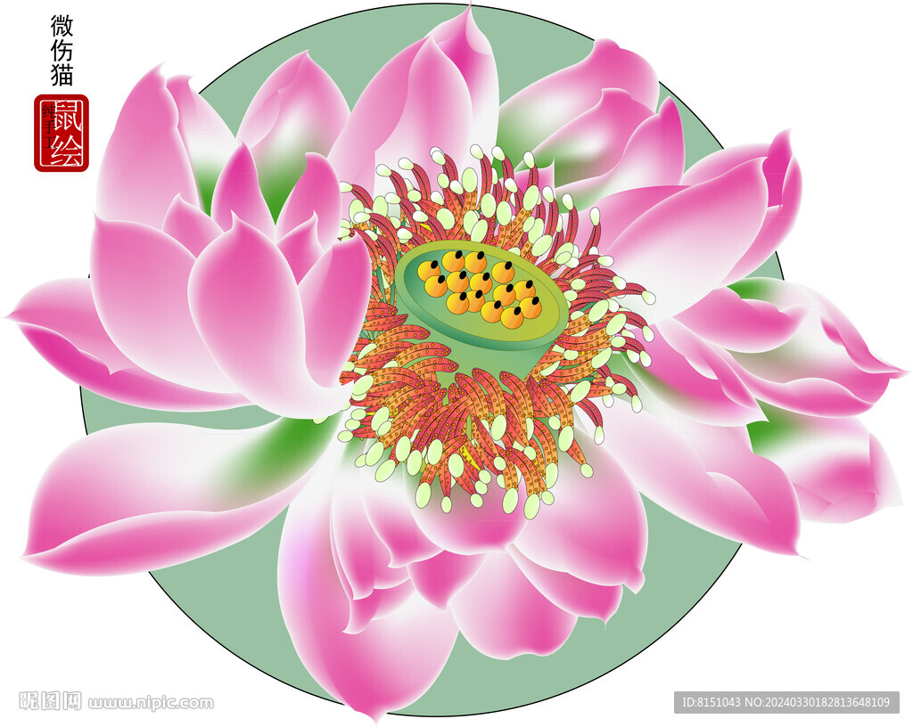 莲花矢量图 