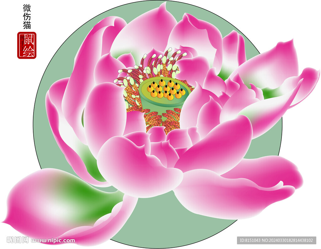 莲花矢量图