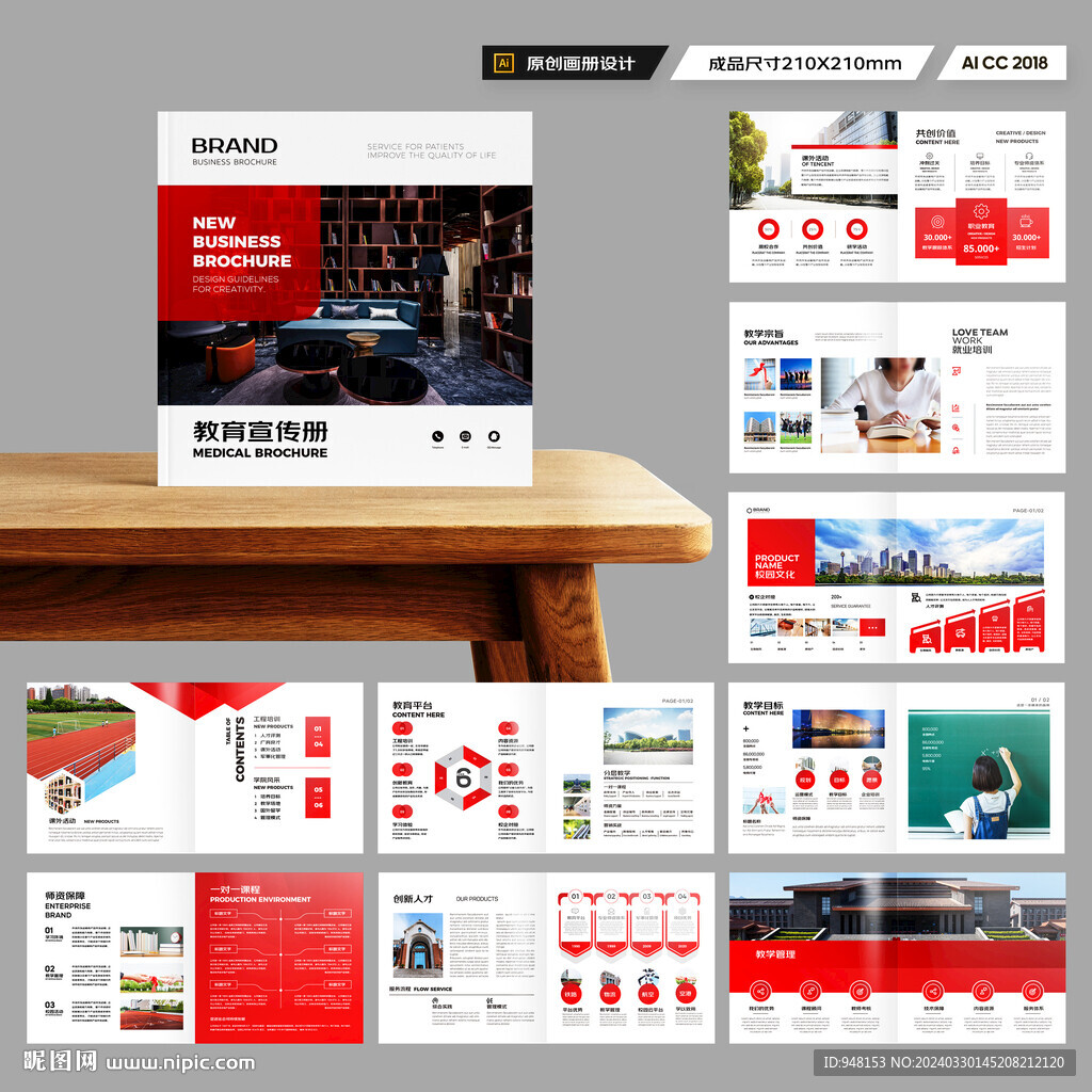 方形教育宣传册