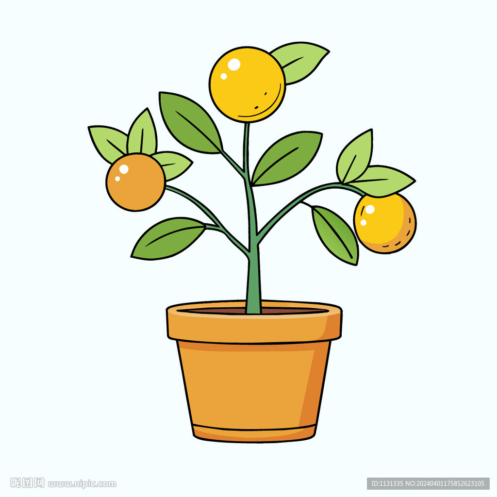 矢量植物一盆小橘子树