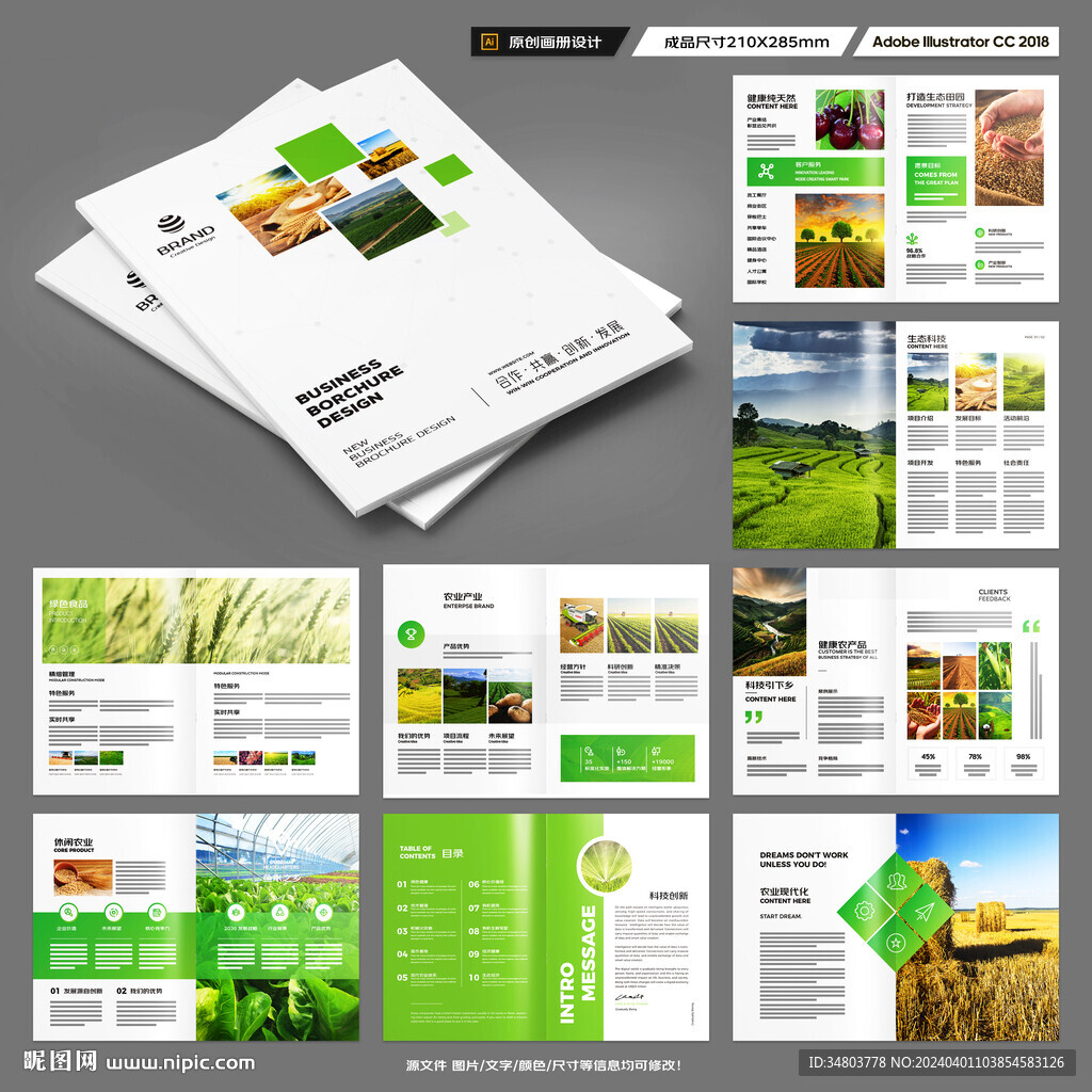 农业宣传册