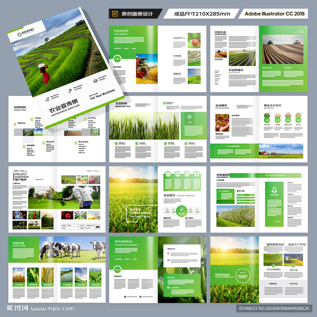 农业科技画册