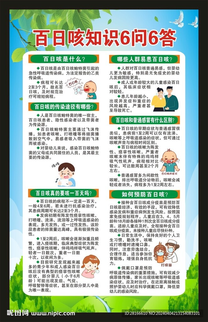 百日咳知识海报