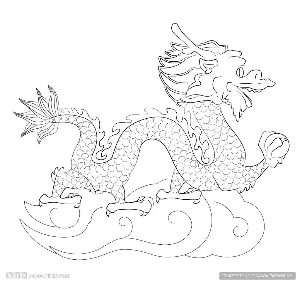 龙