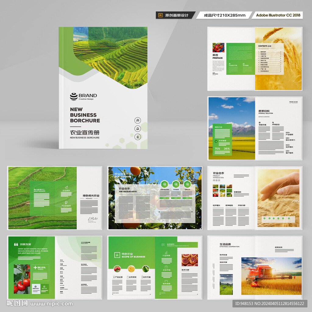 农产品宣传册