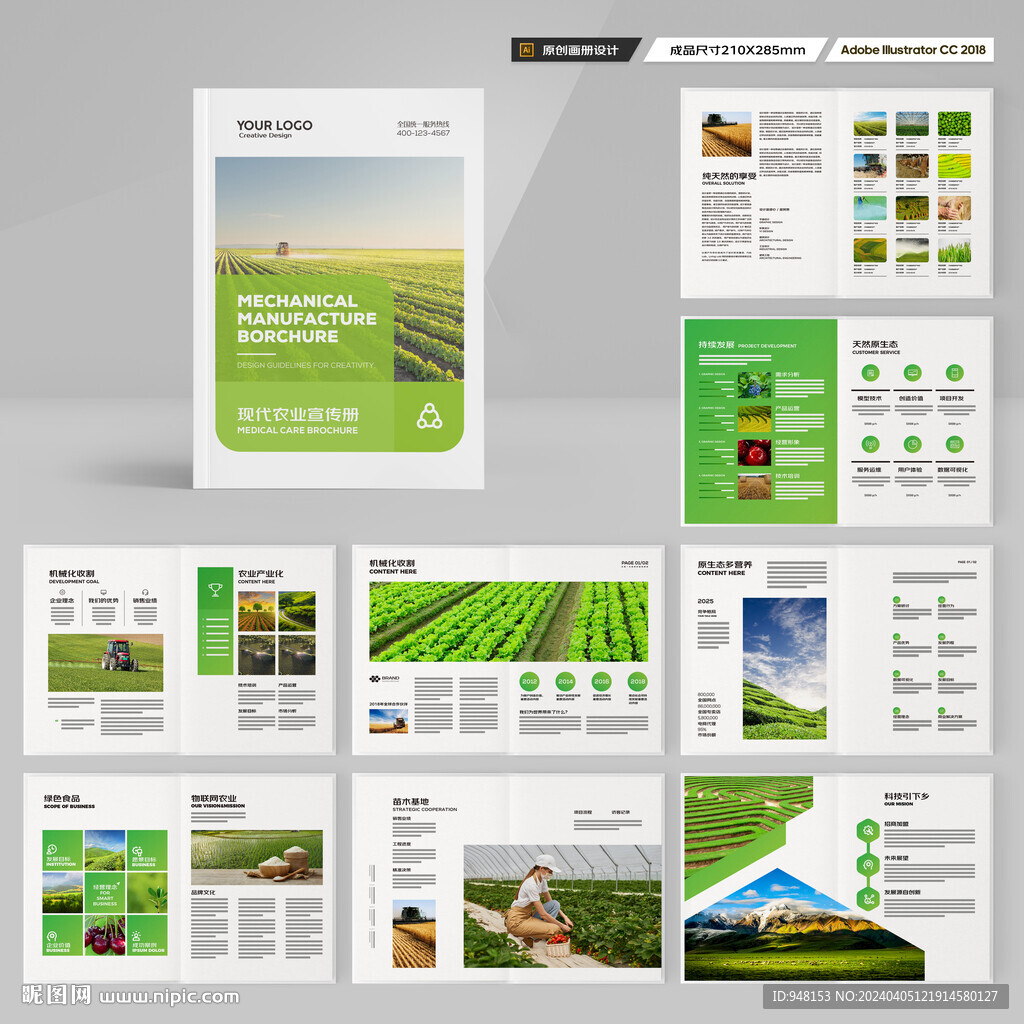 农产品宣传册