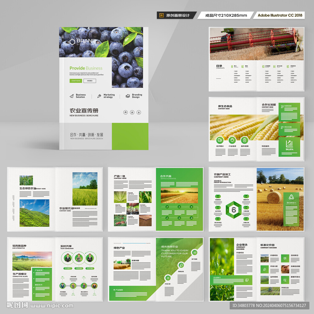 农产品画册