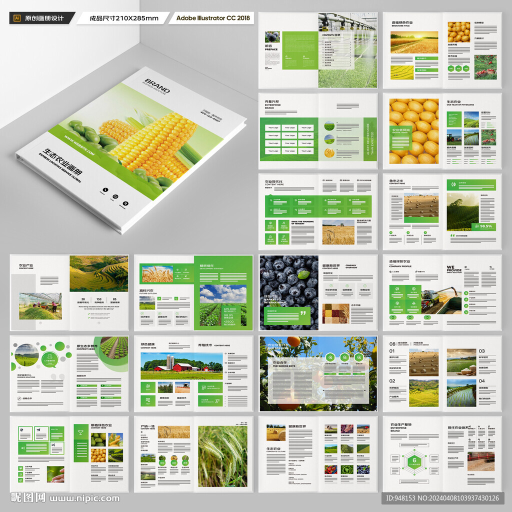 农产品宣传册