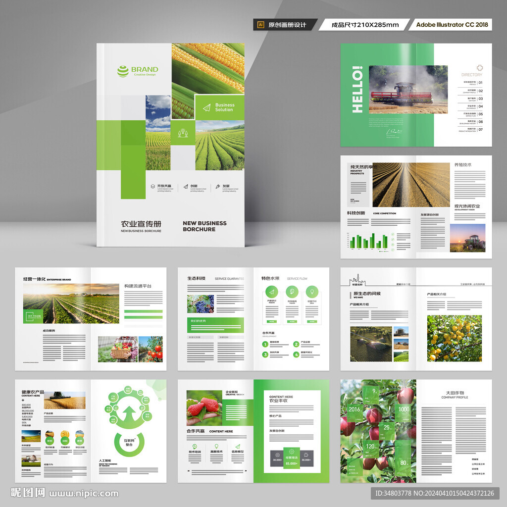 农业科技画册