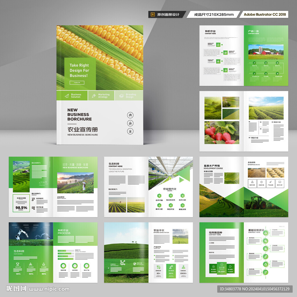 农产品画册