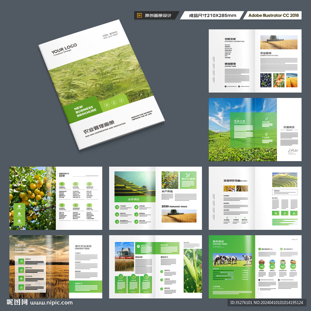 农产品画册