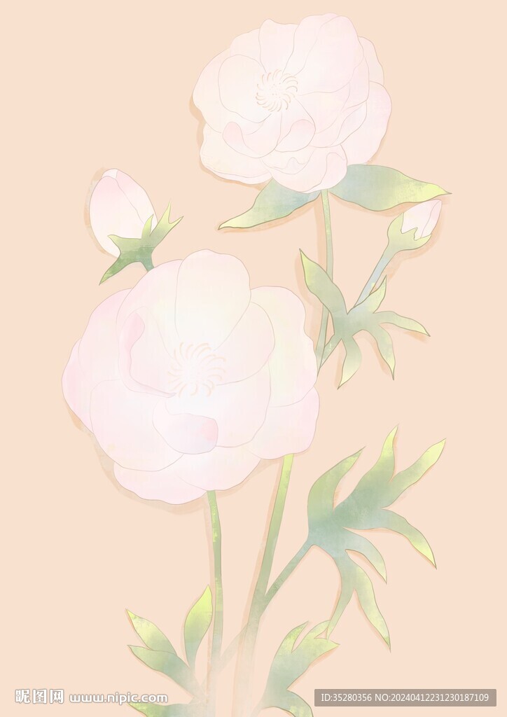牡丹花