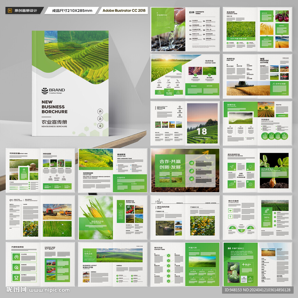 农产品宣传册