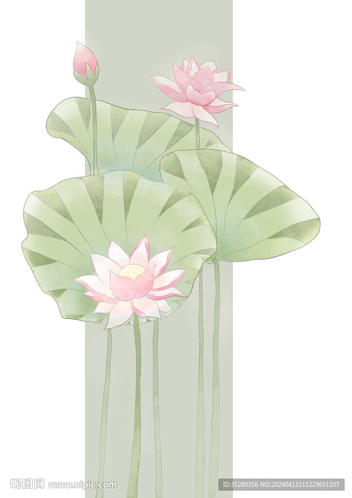 立夏荷花