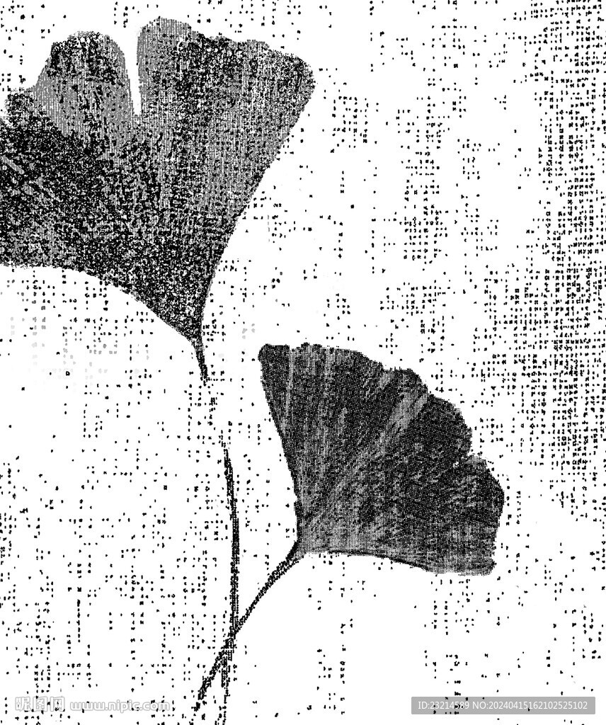 茶花