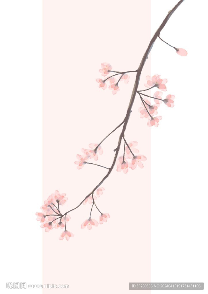海棠花