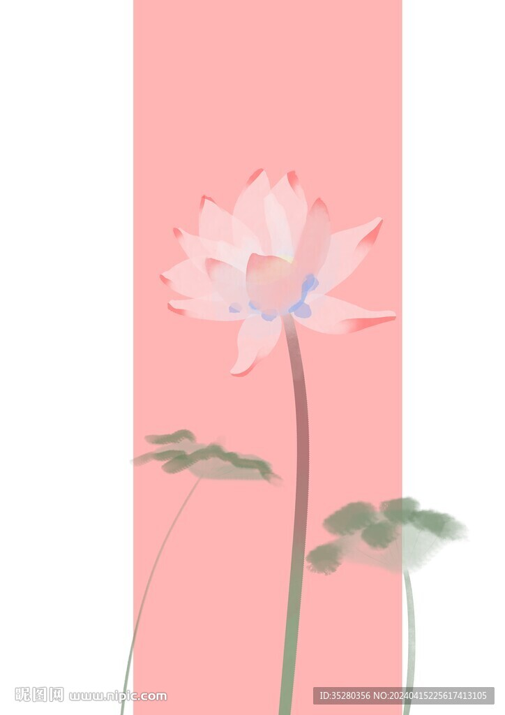 荷花