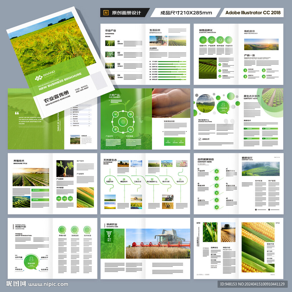 农产品宣传册
