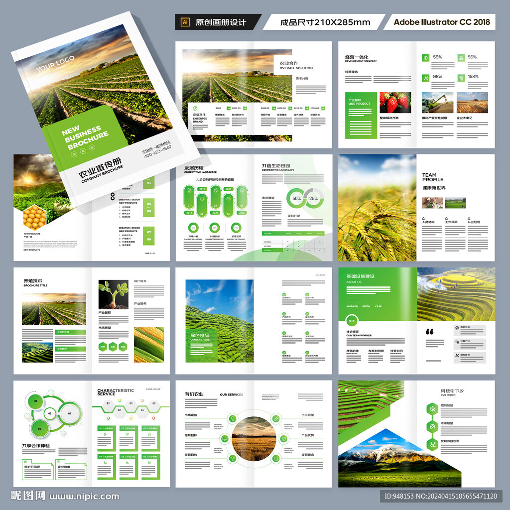 农产品宣传册