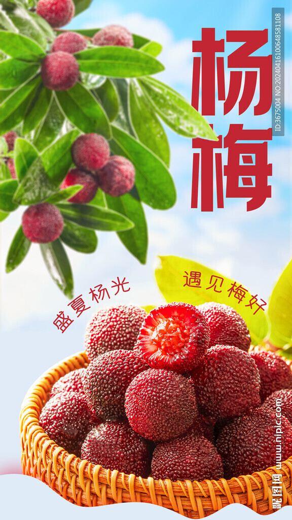杨梅广告