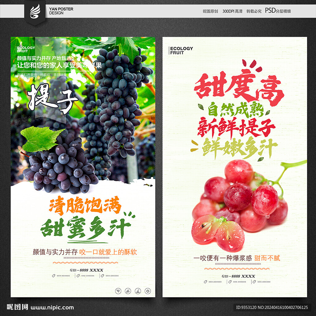 提子海报