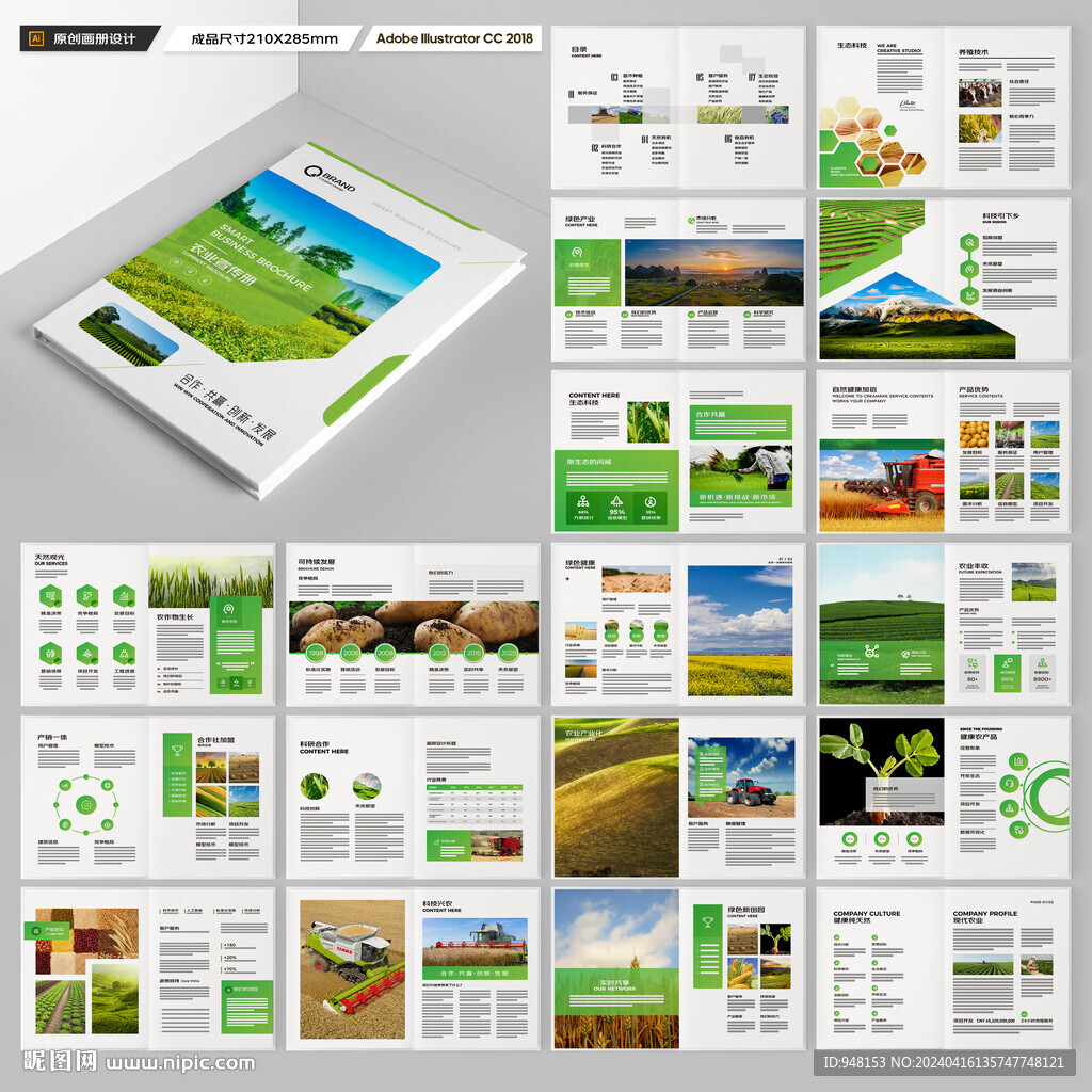 农产品宣传册
