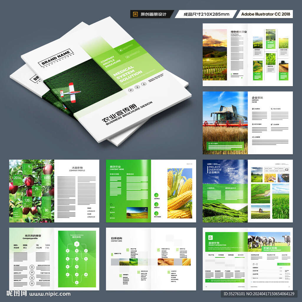 农业宣传册