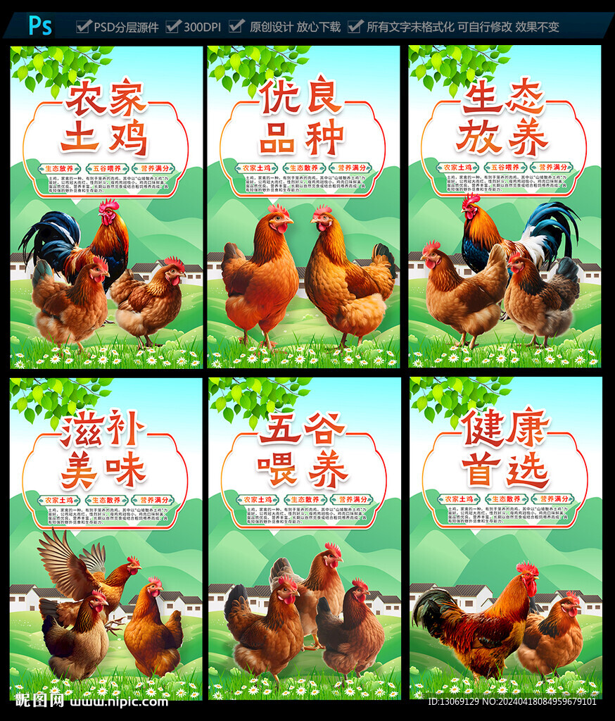 土鸡