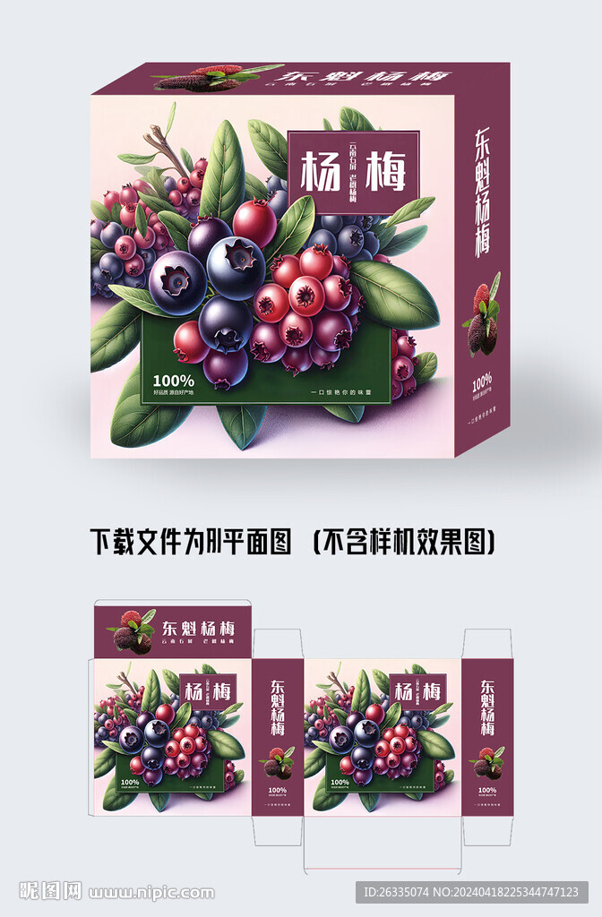 杨梅包装