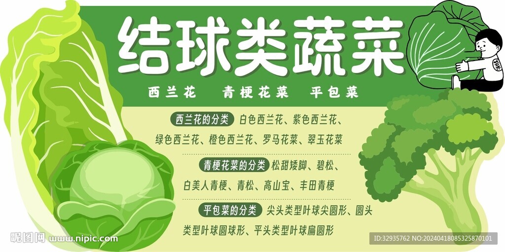 结球类蔬菜吊牌