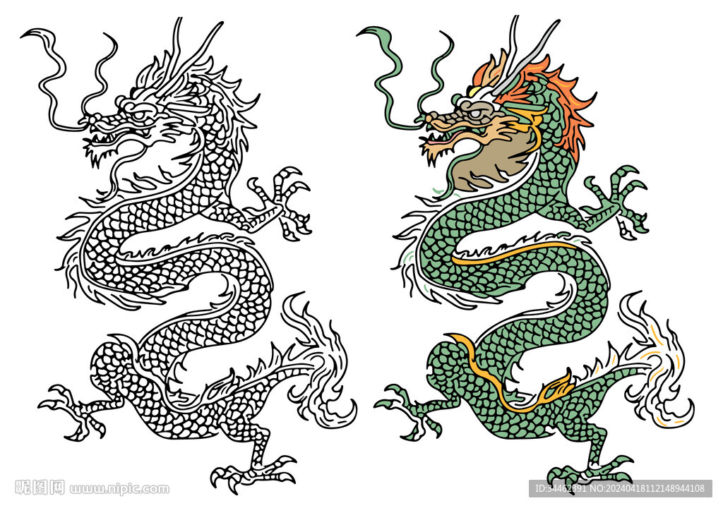 龙