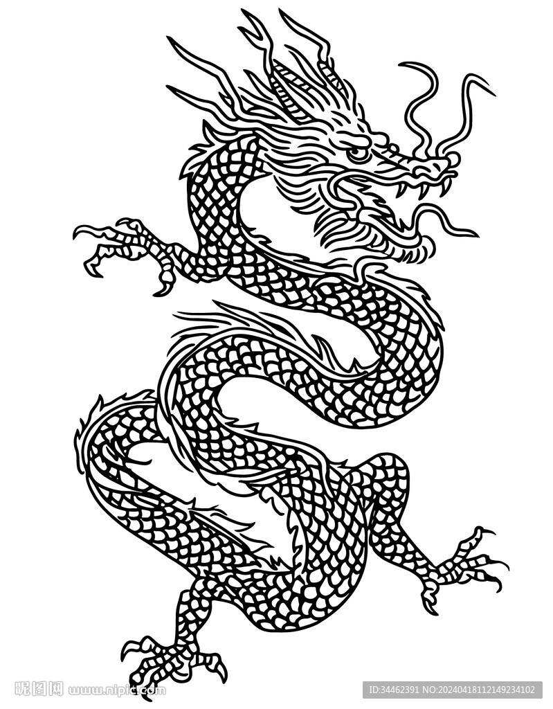 龙线稿