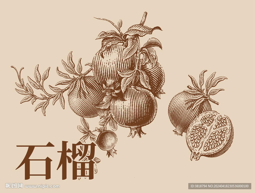 石榴复古版画
