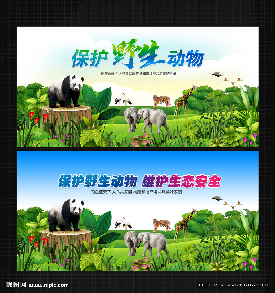 保护野生动物