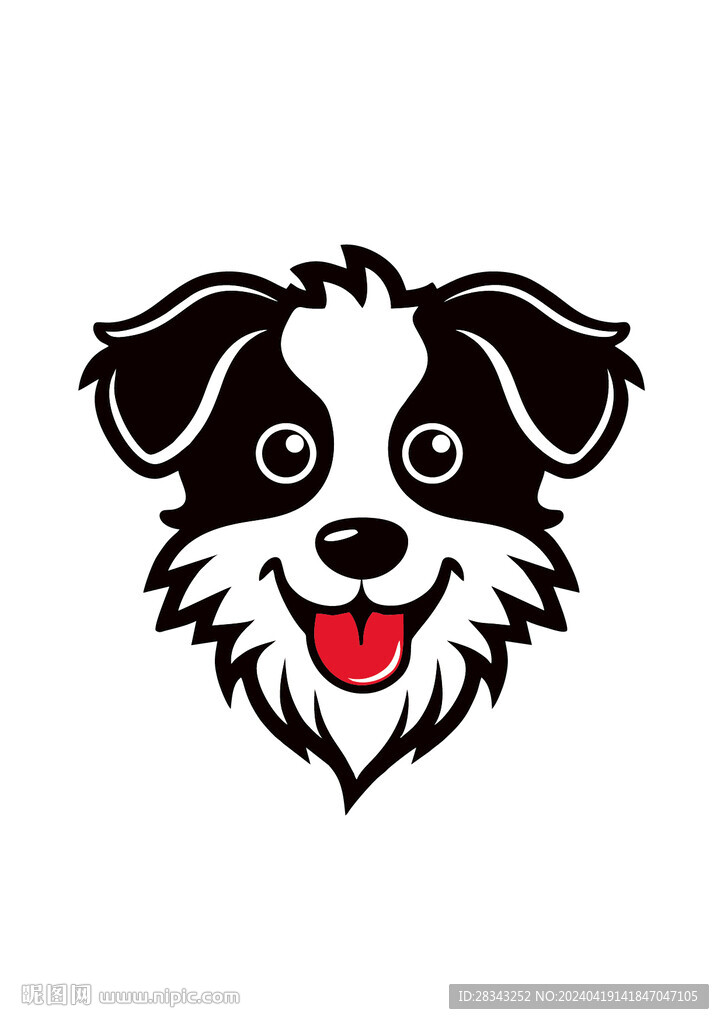 边牧犬