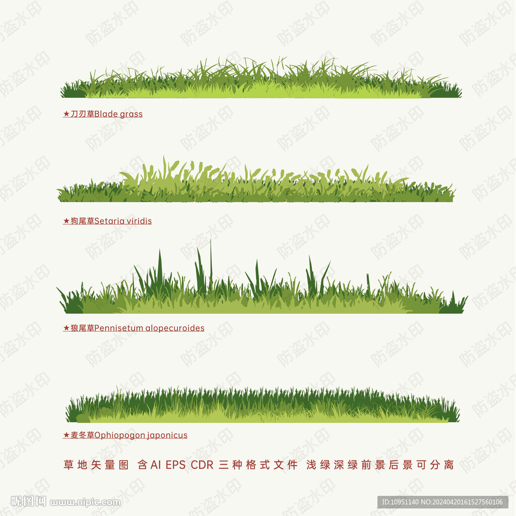 草地草丛矢量