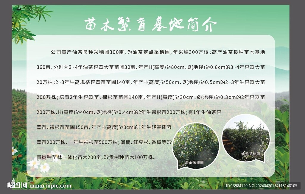 苗木繁育基地简介展板