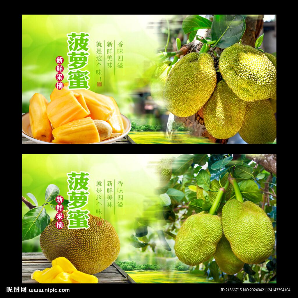 菠萝蜜