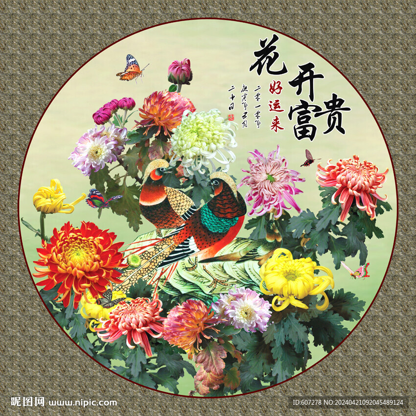 秋菊争艳 