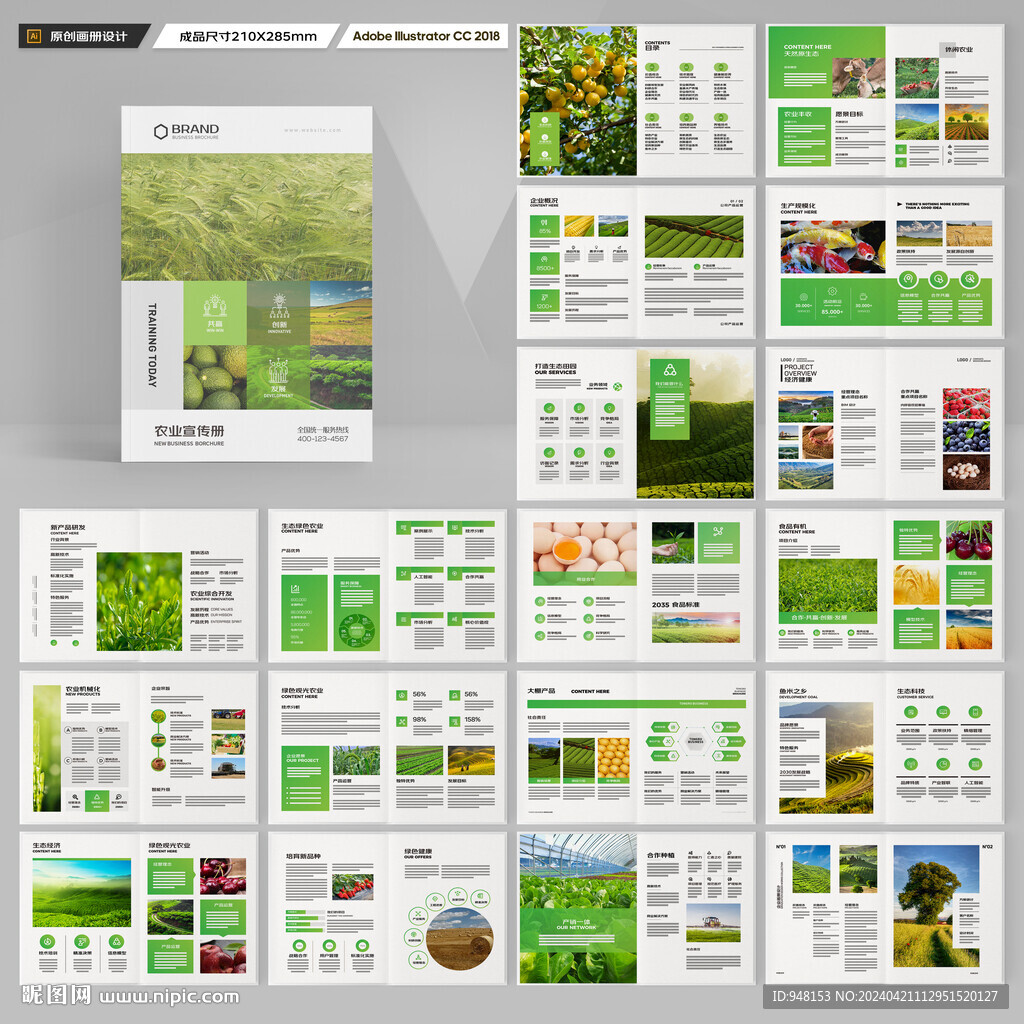 农产品画册